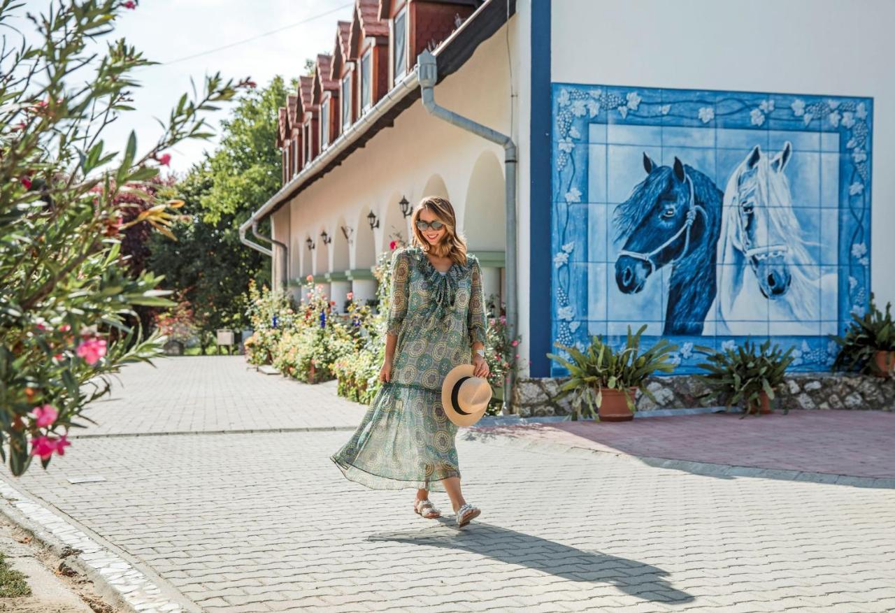 Szel Fiai Fogado Hotel Nyúl Buitenkant foto
